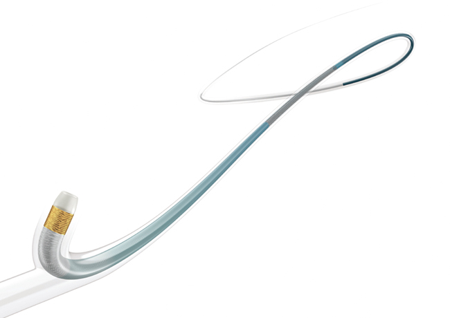 まざ〜てれさ Zizai | 医療機器 | テルモメディカルナビ