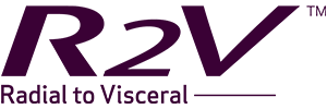 R2Vシステムロゴ