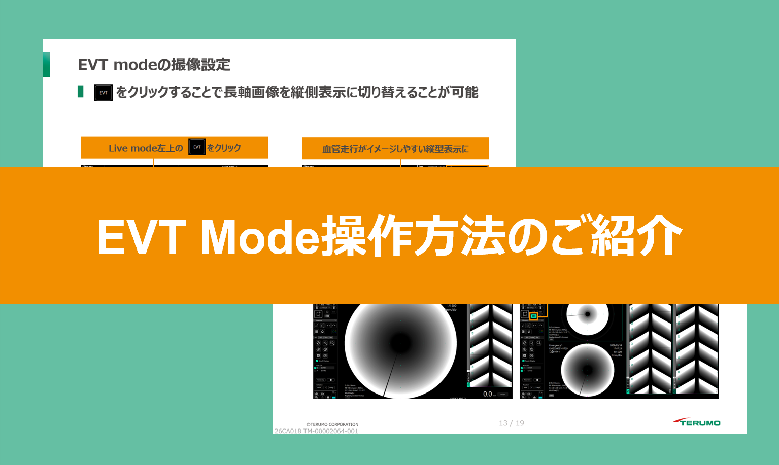 *スライドイメージ