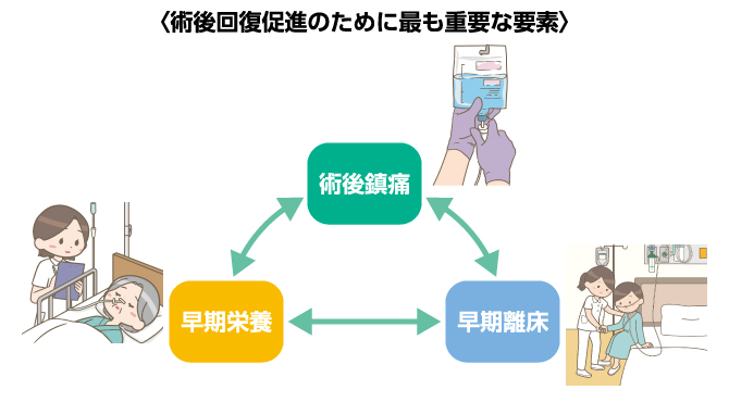 術後回復促進のために最も重要な要素